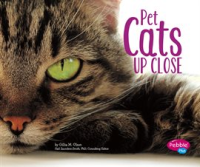 Pet_cats_up_close