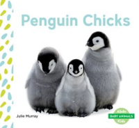 Penguin_Chicks