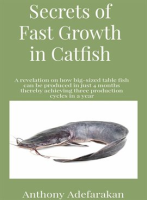 Secrets_of_Fast_Growth_in_Catfish