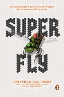 Super_fly