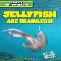 Jellyfish_Are_Brainless_