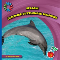 Discover_Bottlenose_Dolphins