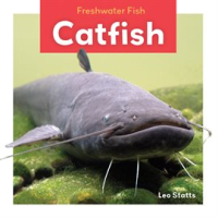 Catfish