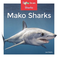 Mako_Sharks