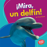 __Mira__un_Delf__n___Look__a_Dolphin__