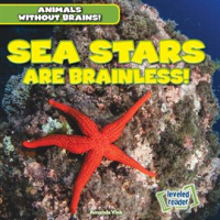Sea_Stars_Are_Brainless_