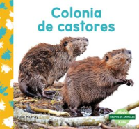 Colonia_de_Castores__Beaver_Colony_